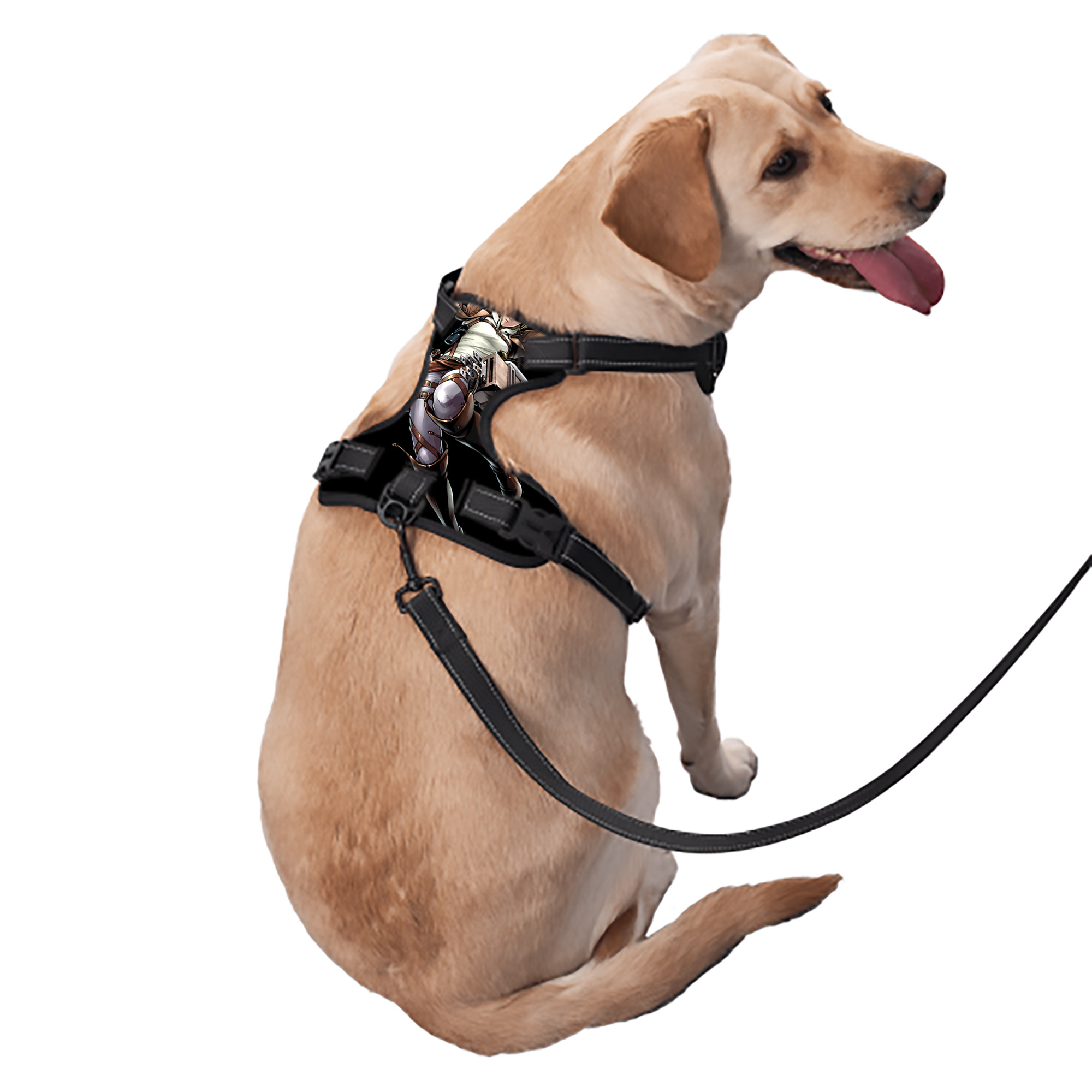 （画像用） 進撃の巨人 アニ・レオンハート Attack on Titan Annie Leonhart ペット用ハーネス
